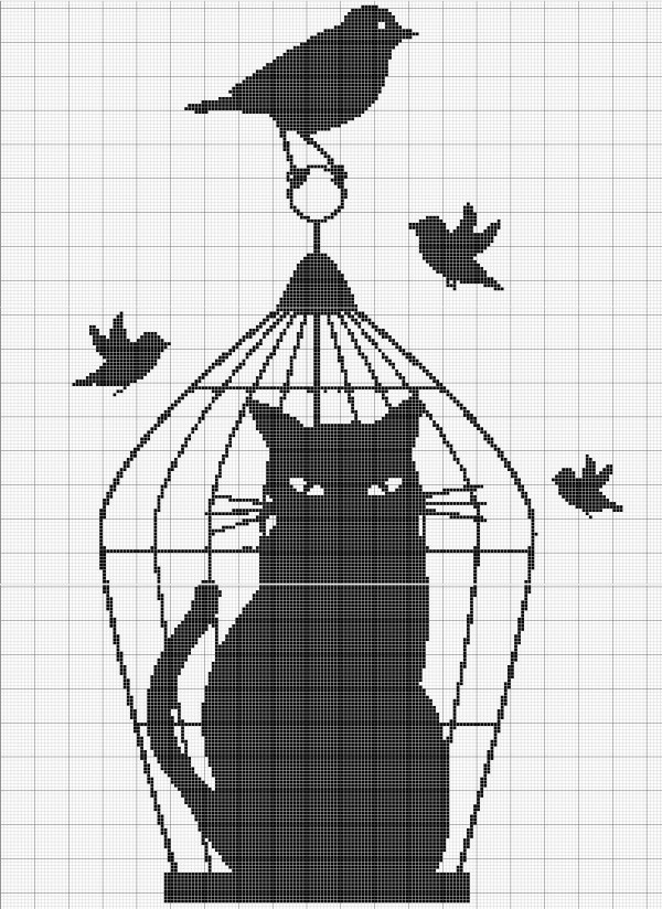 chat-cage-entier-e1374394483488