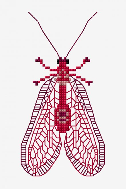 lacewing cross stitch embroidery